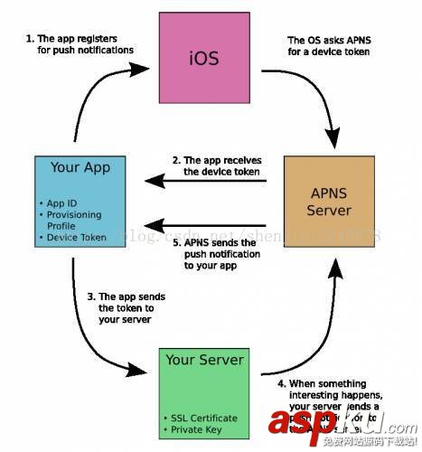 ios,app消息推送,ios消息推送,app消息推送实现