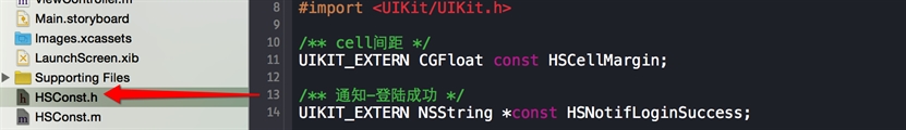 IOS,宏,常亮,define,const