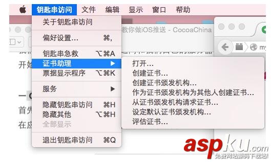 iOS远程推送配置,iOS远程推送,iOS远程推送原理,iOS远程推送过程