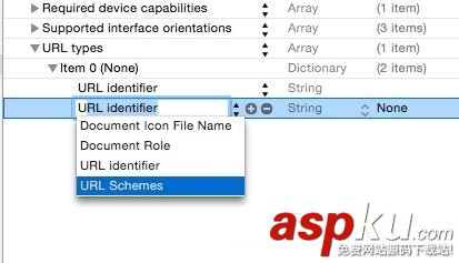 iOS,URL,Scheme