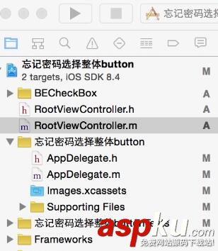 IOS,记住密码,button