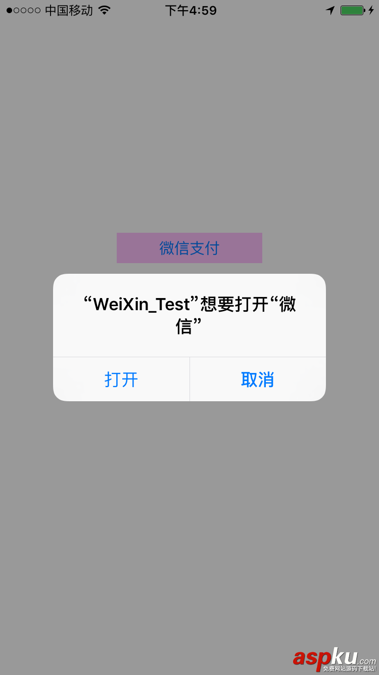 微信支付开发,IOS