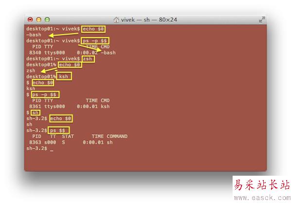 图1: Finding out your shell name