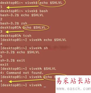 Fig. 03: Bash shell nesting level (subshell numbers)