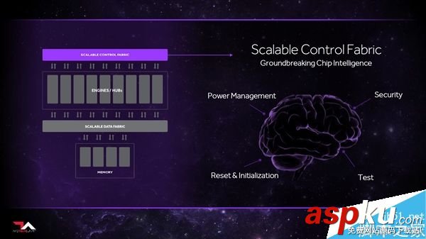 AMD,架构