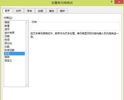 Excel2013中怎么输入001图文教程 Excel2013中输入001的方法