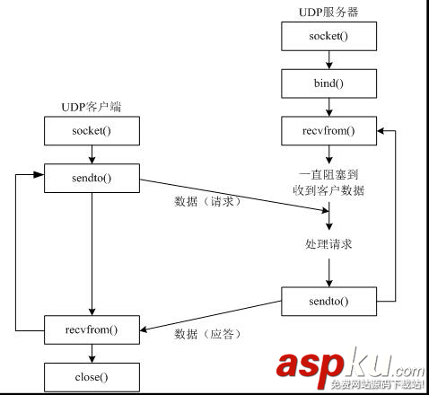 python,TCP,UDP