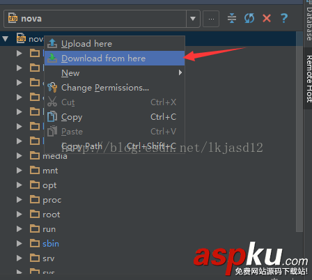 pycharm,远程调试,openstack