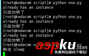 python,脚本锁,执行脚本