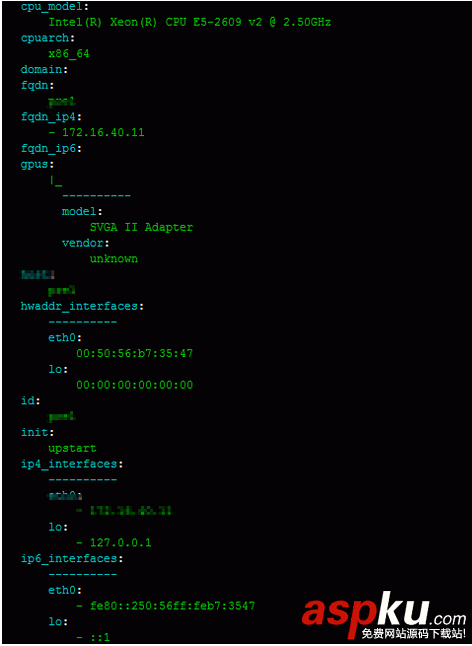 通过Python使用saltstack生成服务器资产清单