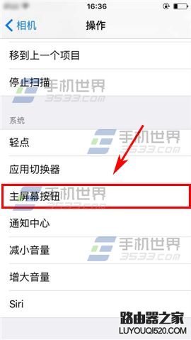 苹果iPhone6sPlus如何设置切换控制