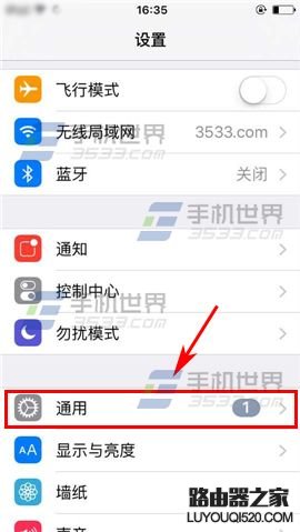 苹果iPhone6sPlus如何设置切换控制