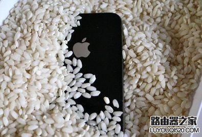 iphone6s掉水里怎么办？iphone6s掉入水中的处理方法