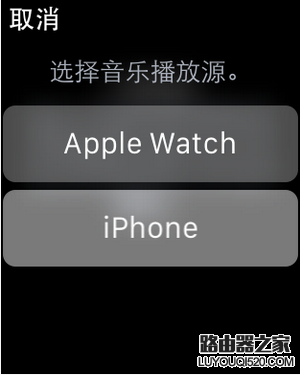 apple watch怎么连接蓝牙耳机 苹果watch连接蓝牙耳机方法5