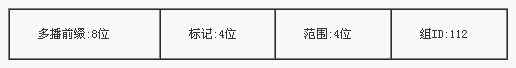 IPV6,网络协议,IPV6地址,报文格式