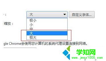 电脑中如何设置谷歌Chrome浏览器显示的字体大小4