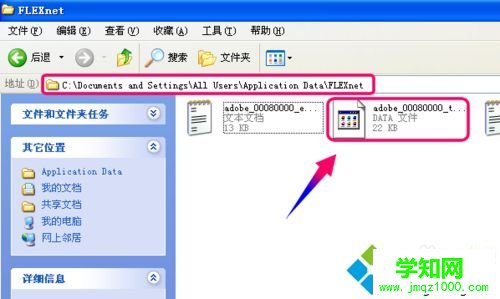 windowsxp系统打开Autocad2010闪退的修复方法