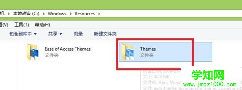 Themes文件夹