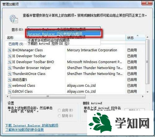 选择“Internet Explorer 已经使用的加载项”