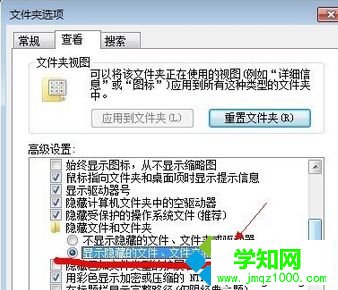勾选“显示隐藏文件、文件夹”
