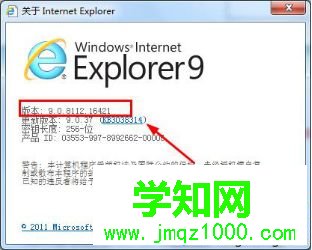 windows xp系统怎么查看ie浏览器版本