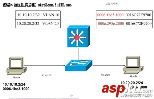 交换机,VLAN