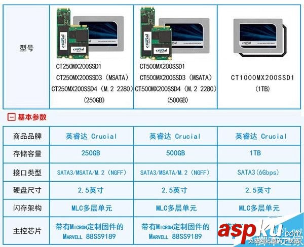 SSD,固态盘,品牌