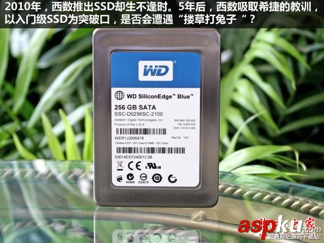 SSD,淘汰,HDD