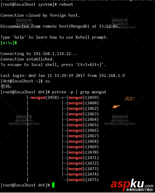 CentOS,安装,Mogodb