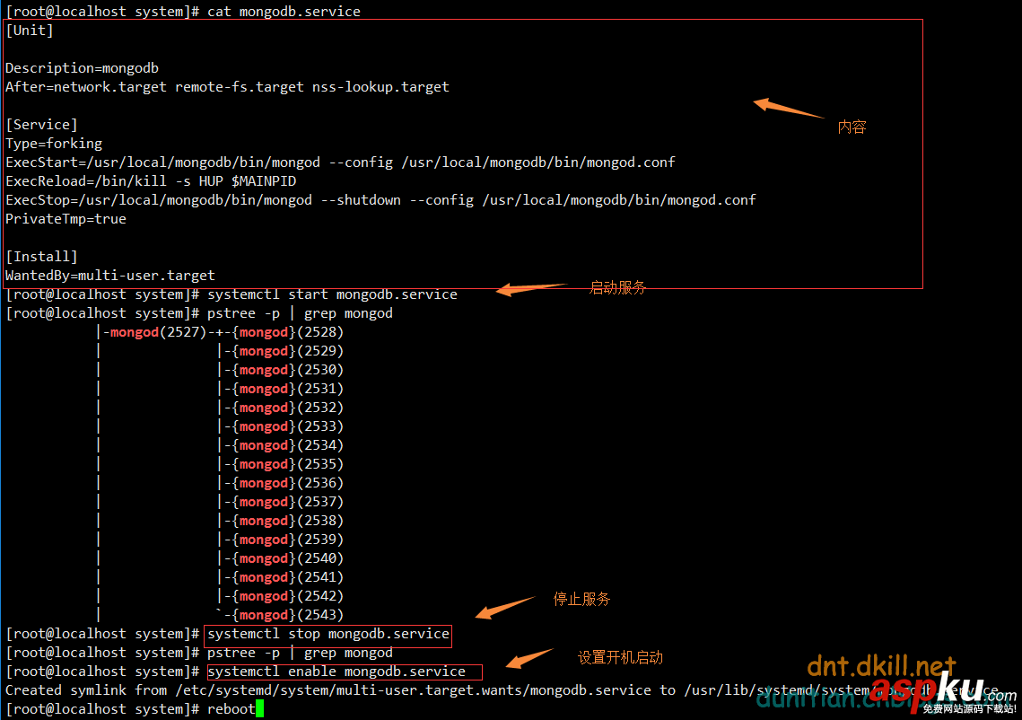 CentOS,安装,Mogodb