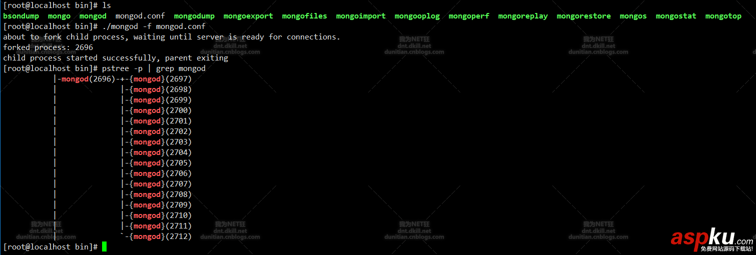 CentOS,安装,Mogodb