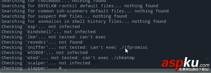 Chkrootkit0.49,漏洞