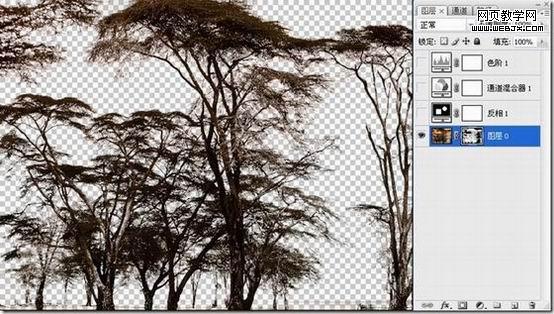 photoshop抠图教程-利用反相操作抠出复杂树木