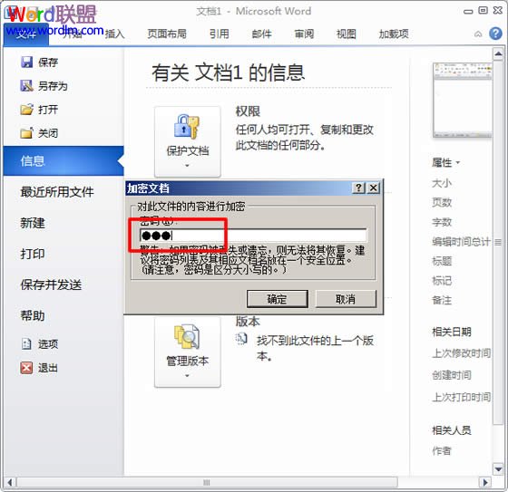 Word2010文档加密