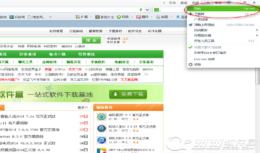 360安全浏览器怎么看历史记录？ 武林网