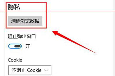 如何在win10系统中的斯巴达浏览器中删除历史记录和cookie？