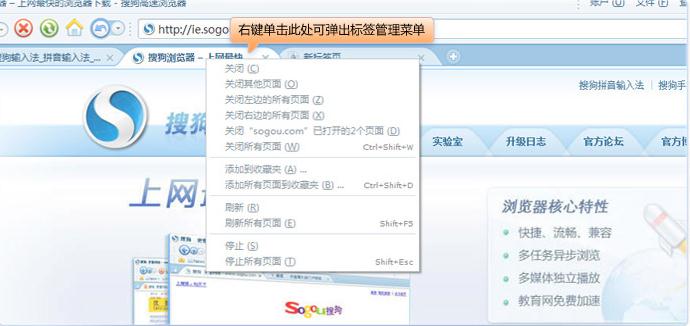 搜狗浏览器如何管理标签 武林网
