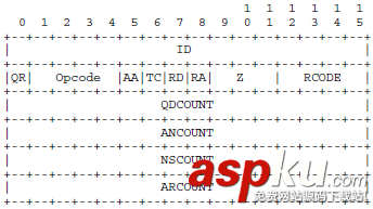 C++如何实现DNS域名解析