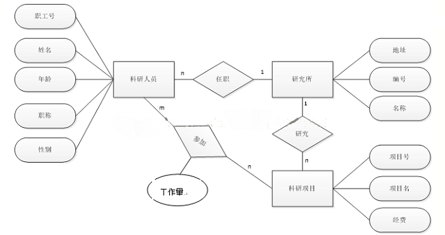 C语言,E-R图