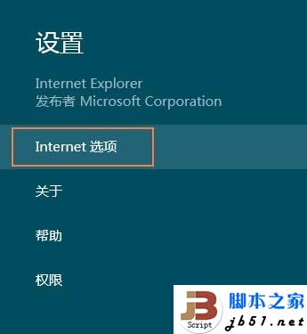 Metro IE10的Internet选项