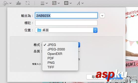 13招,Mac,预览,app