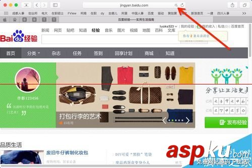 mac,safari,关闭标签,safari打不开网页