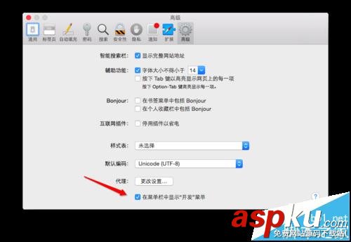 MAC,safari,开发者模式