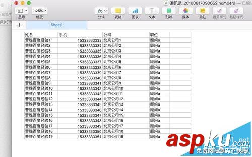 excel,Mac