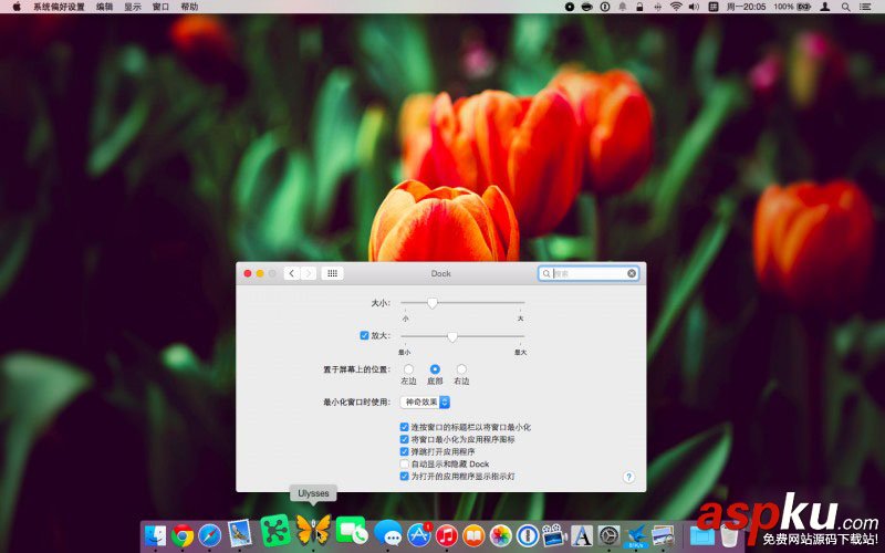 Mac,Dock栏