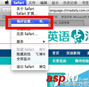 mac,safari,flash插件,插件,safari手势插件