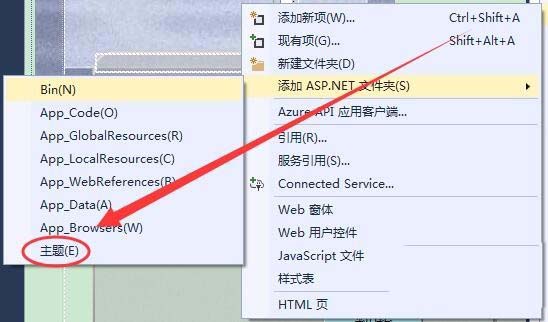 vs,ASP.Net,文件夹,选项