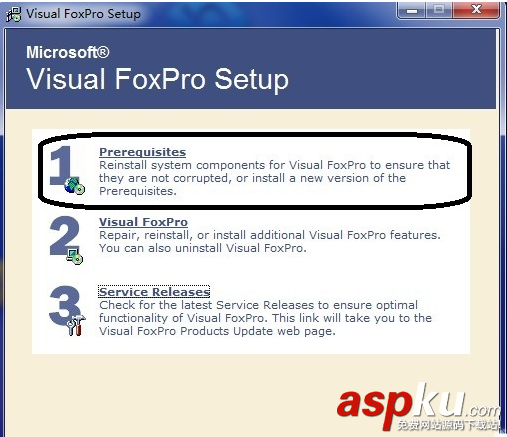 visual,foxpro