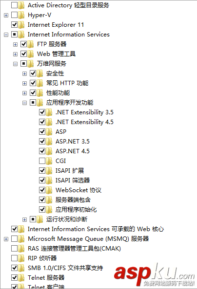 VS2013,IIS,Express,Web