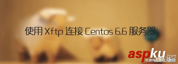 Xftp,连接,Centos,6.6,服务器